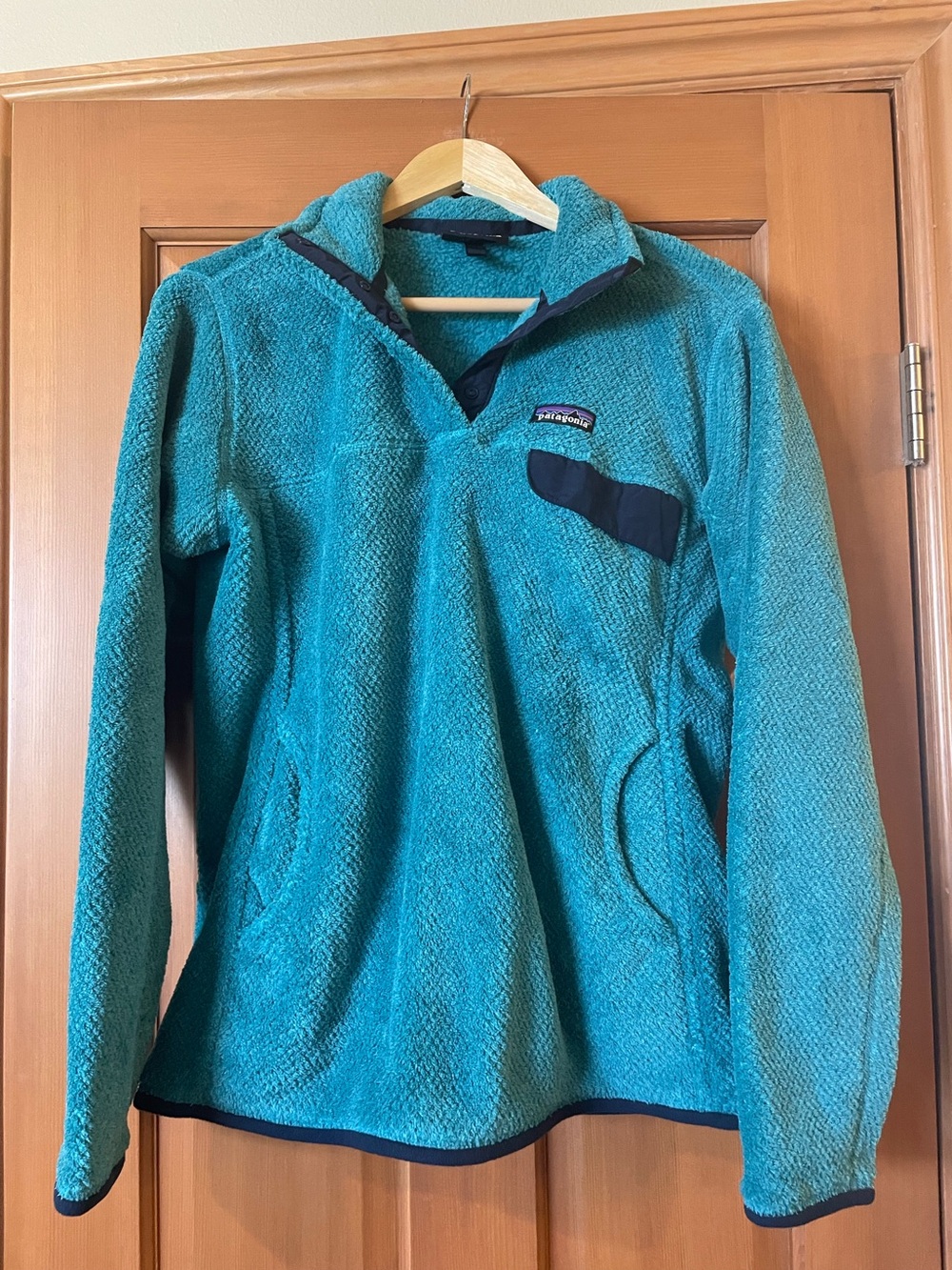 Patagonia women’s fleece pullover